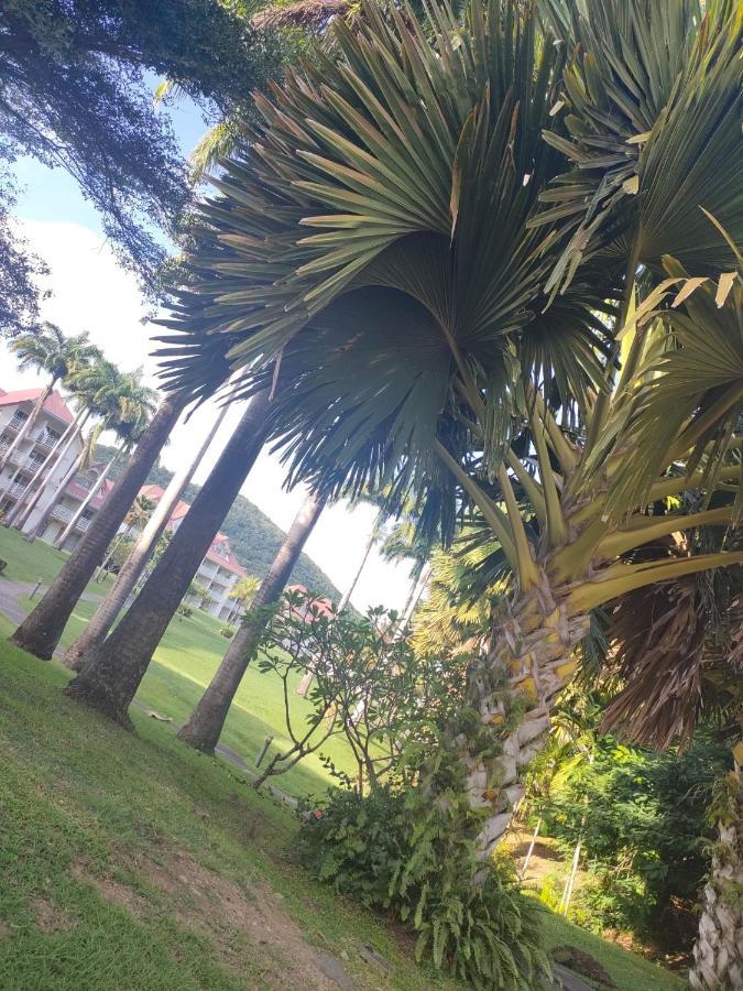 Appartement 2 A 6 Personnes Dans Un Magnifique Complexe De Vacances A Sainte-Luce Esterno foto